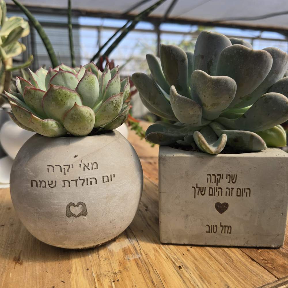 עציצים עם חריטה אישית -מגוון כלים צורות וצבעים - Image 10