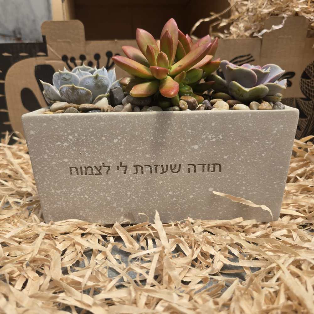עציצים עם חריטה אישית -מגוון כלים צורות וצבעים - Image 2