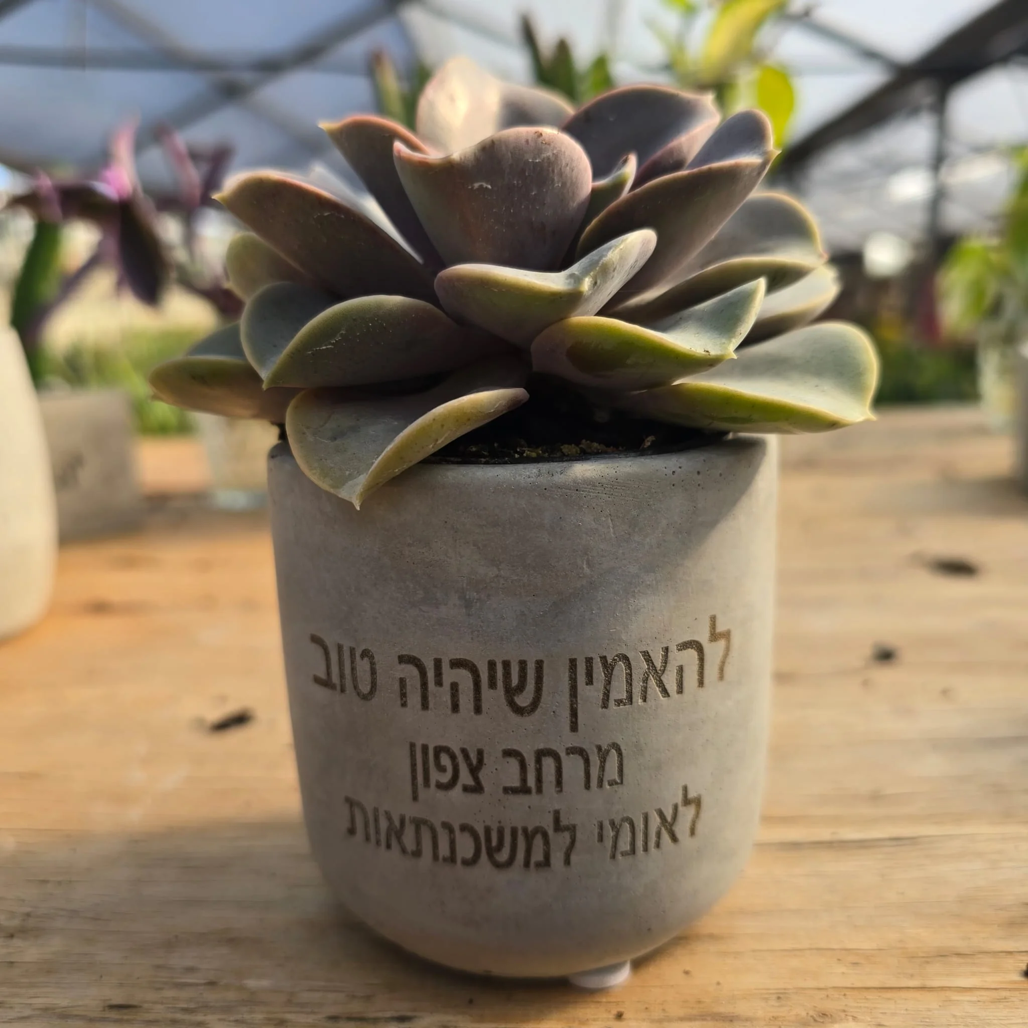 עציצים עם חריטה אישית -מגוון כלים צורות וצבעים - Image 21