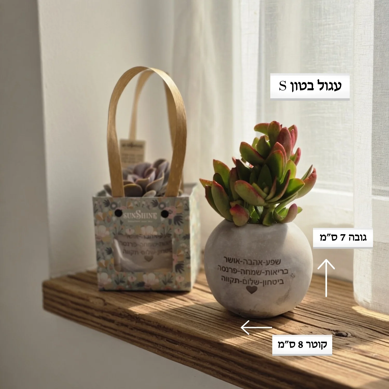 עציצים עם חריטה אישית -מגוון כלים צורות וצבעים - Image 24