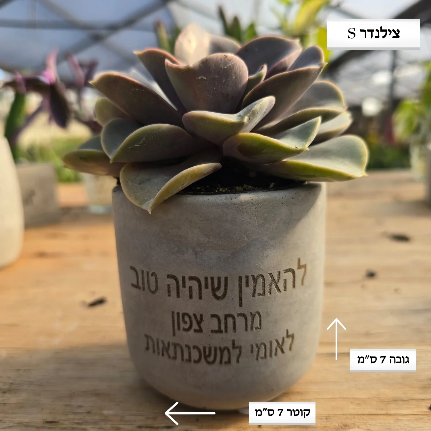 עציצים עם חריטה אישית -מגוון כלים צורות וצבעים - Image 29