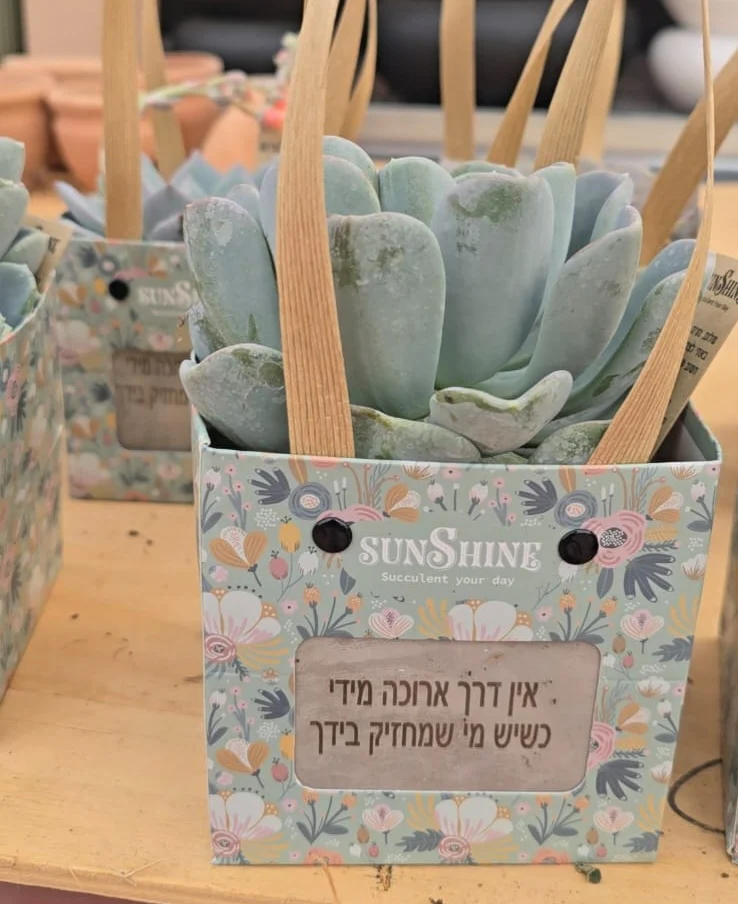 עציצים עם חריטה אישית -מגוון כלים צורות וצבעים - Image 5