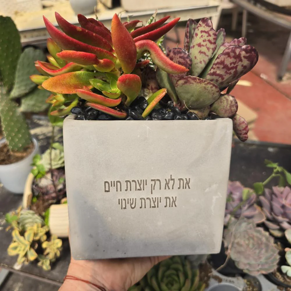 עציצים עם חריטה אישית -מגוון כלים צורות וצבעים - Image 7