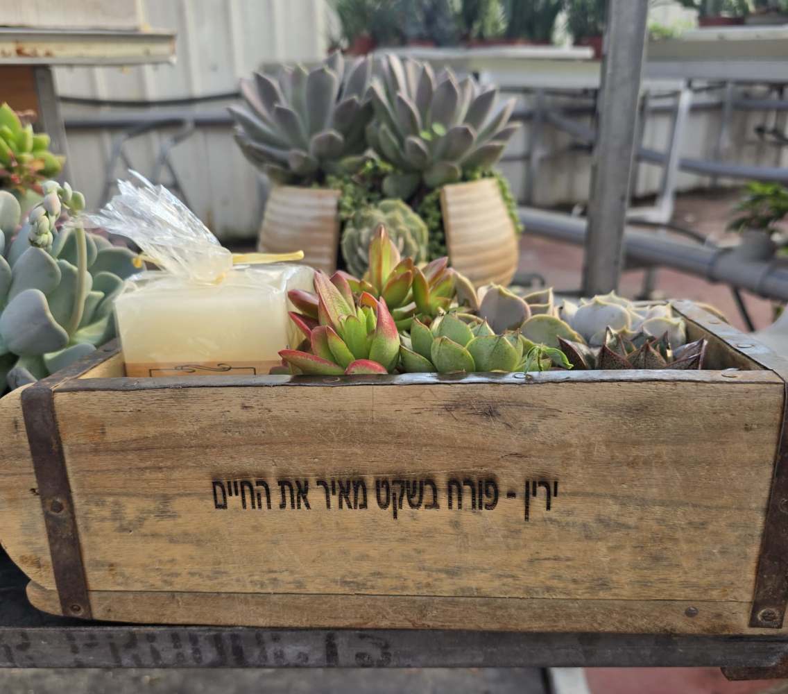 עציצים עם חריטה אישית -מגוון כלים צורות וצבעים - Image 8