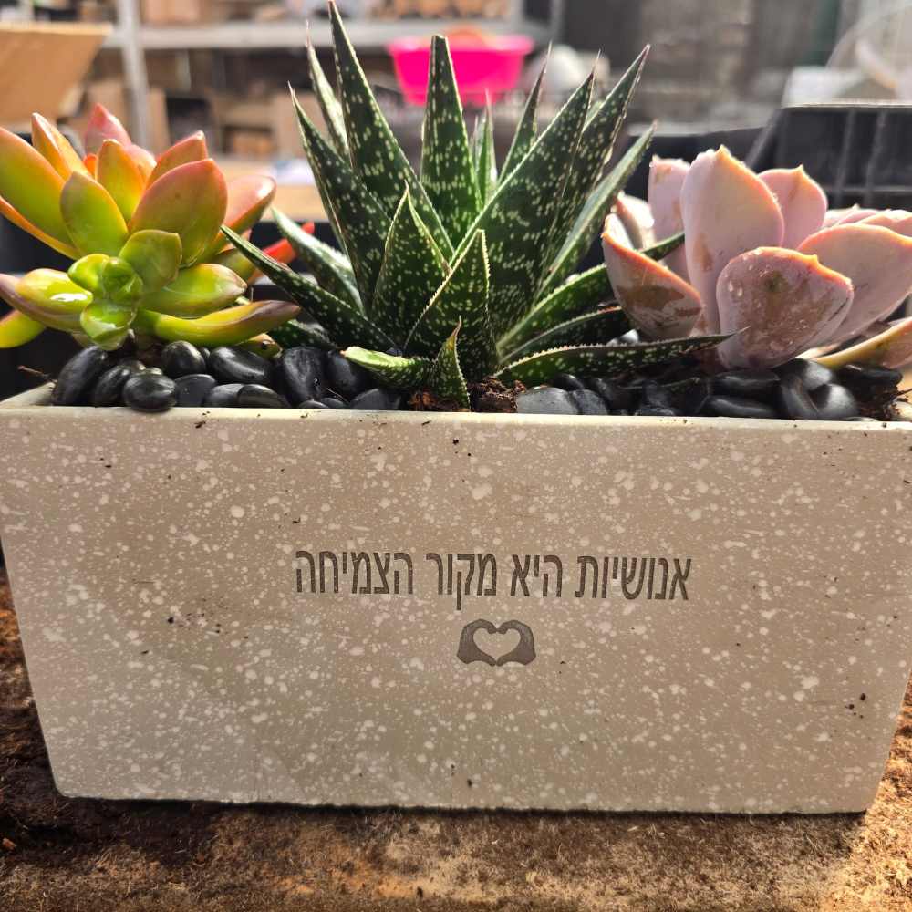 אדנית לבית עלמין עם חריטה אישית - Image 3