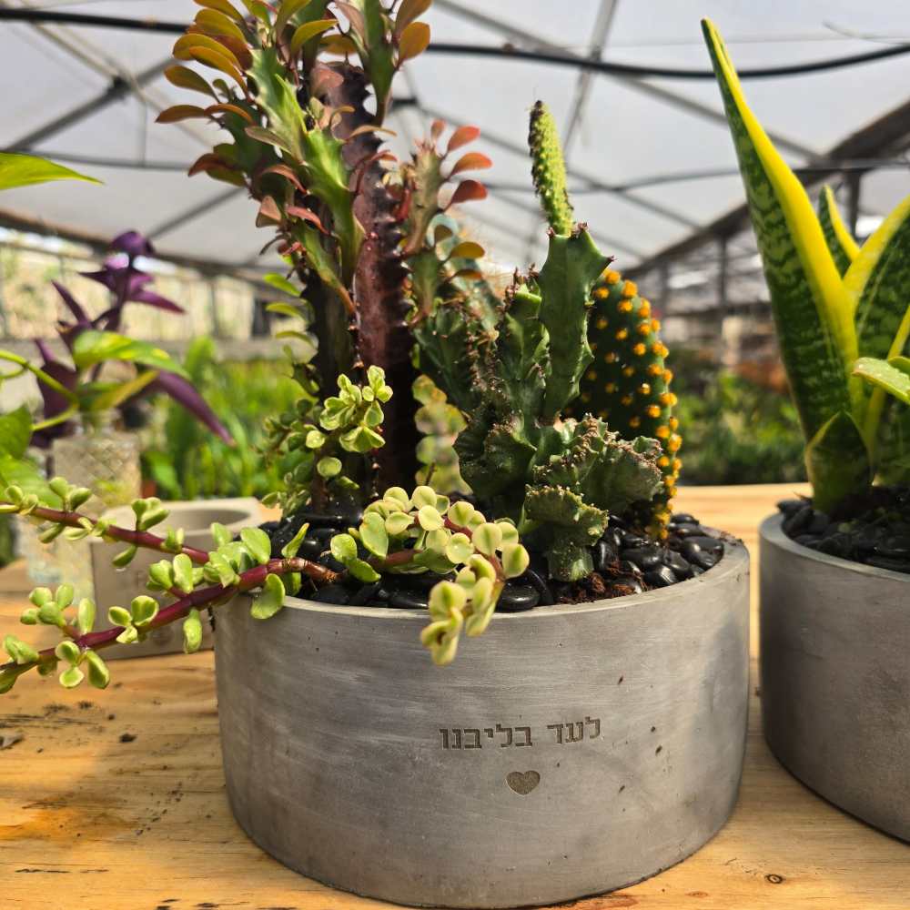 אדנית לבית עלמין עם חריטה אישית - Image 2