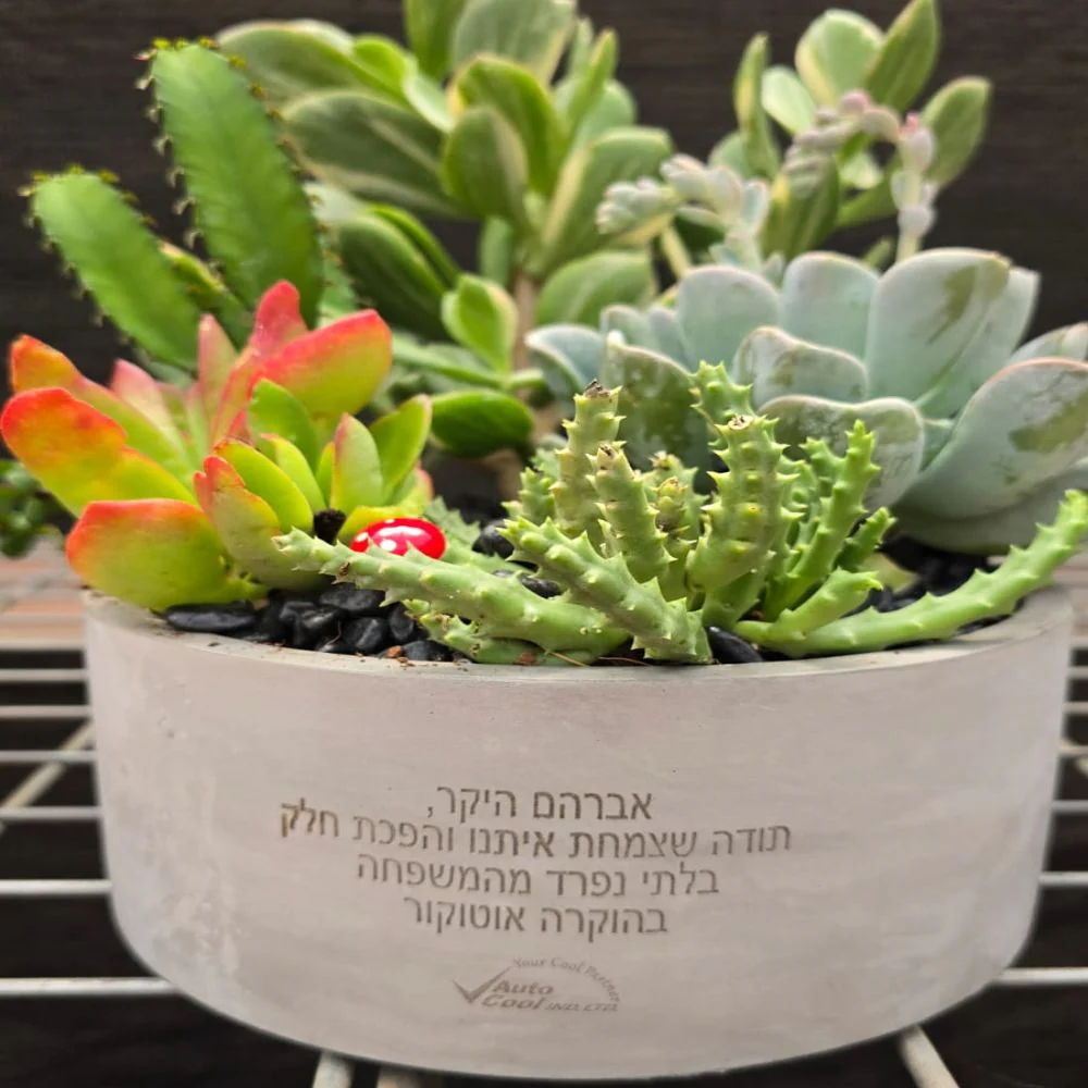 עציצים עם חריטה אישית -מגוון כלים צורות וצבעים - Image 11