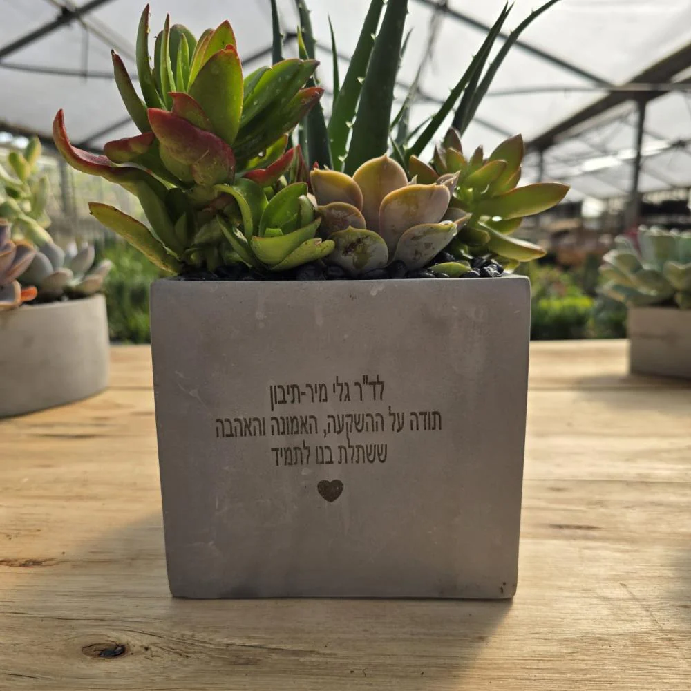 עציצים עם חריטה אישית -מגוון כלים צורות וצבעים - Image 4