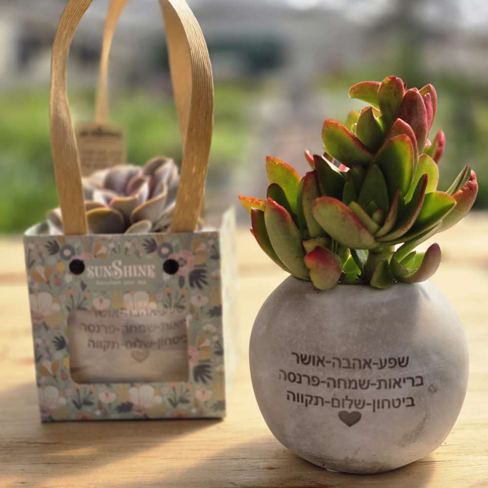 עציץ ממותג - חריטה - Image 4