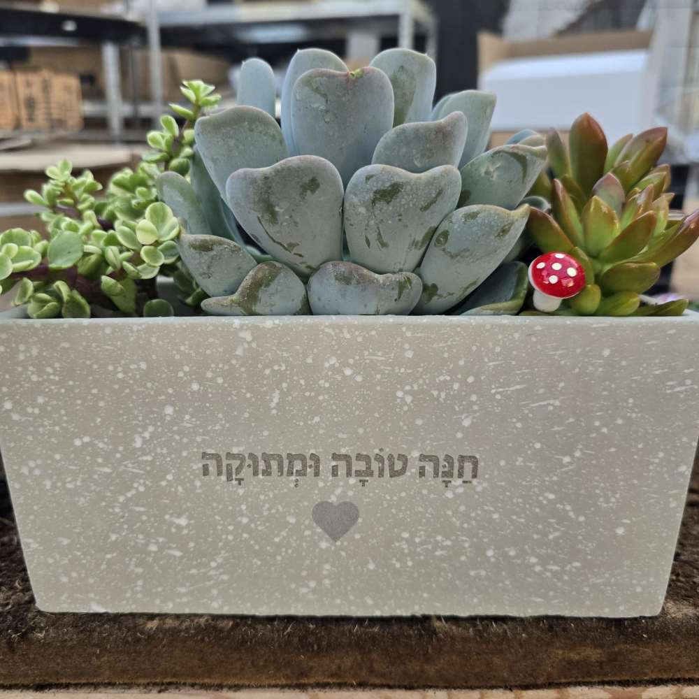 עציץ ממותג - חריטה - Image 6