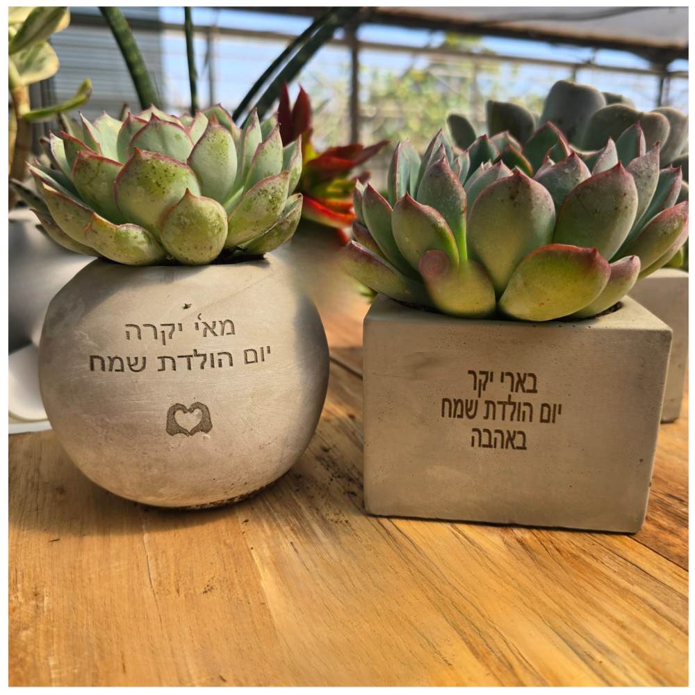 עציץ ממותג - חריטה - Image 8
