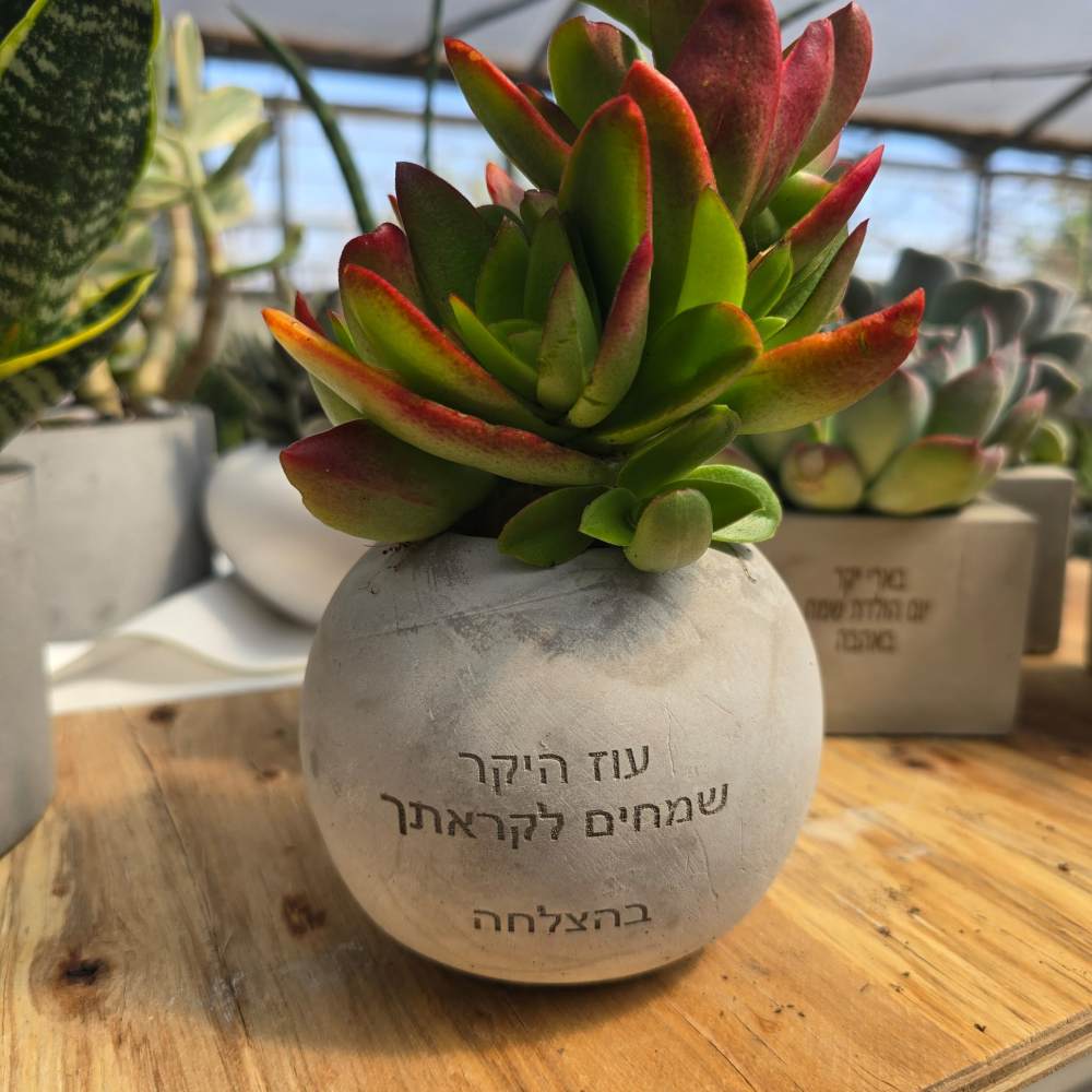 עציצים עם חריטה אישית -מגוון כלים צורות וצבעים - Image 16