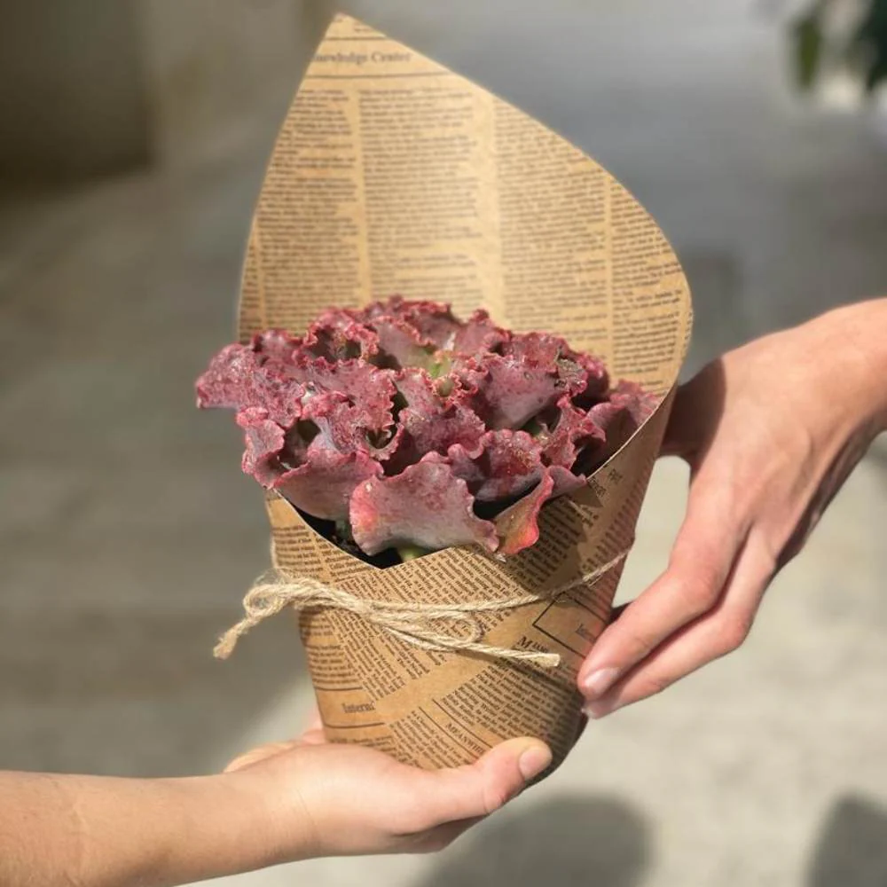 מתנות לעובדים עד 50 ש"ח - Image 45