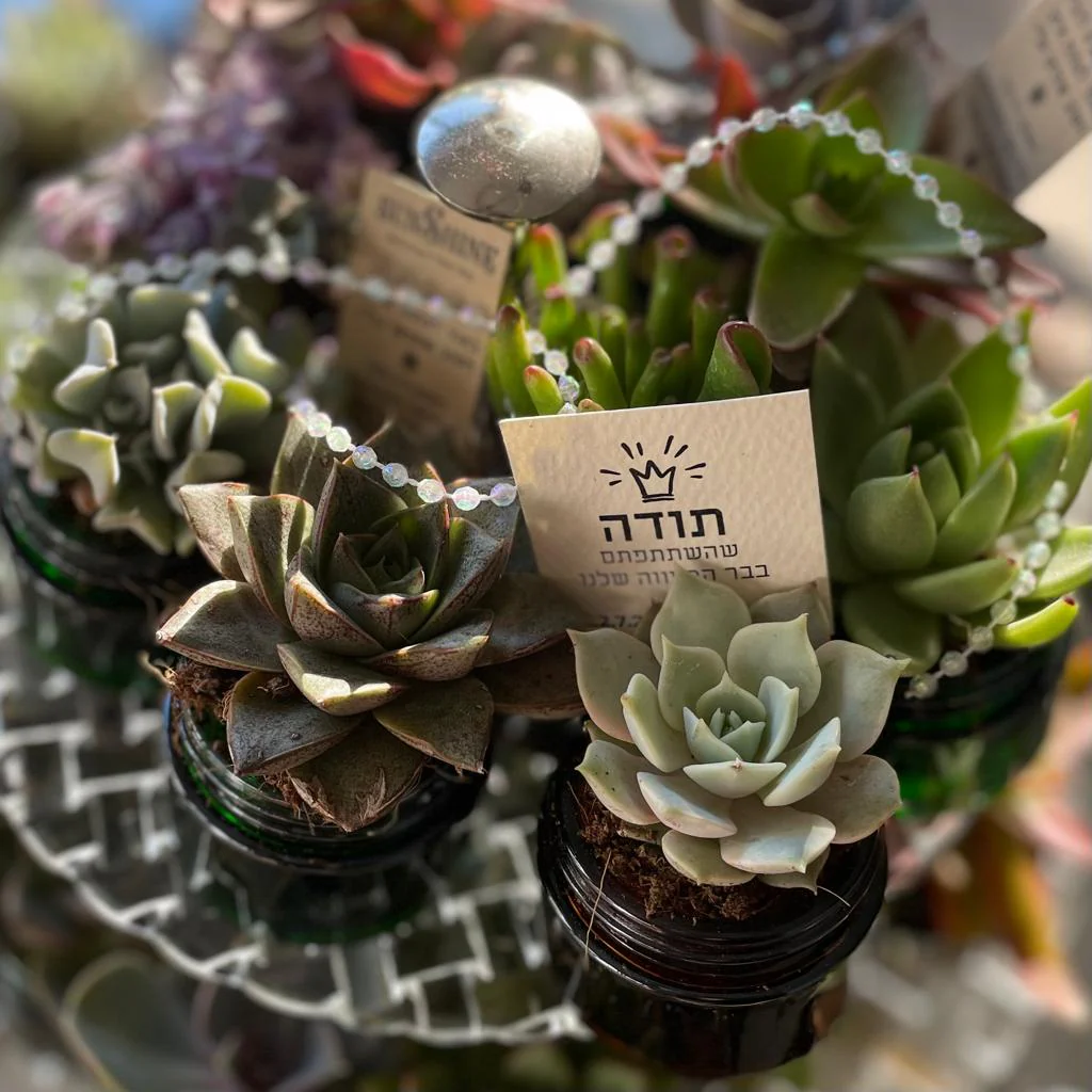 פְּרִינְסֵסוֹת - Image 4