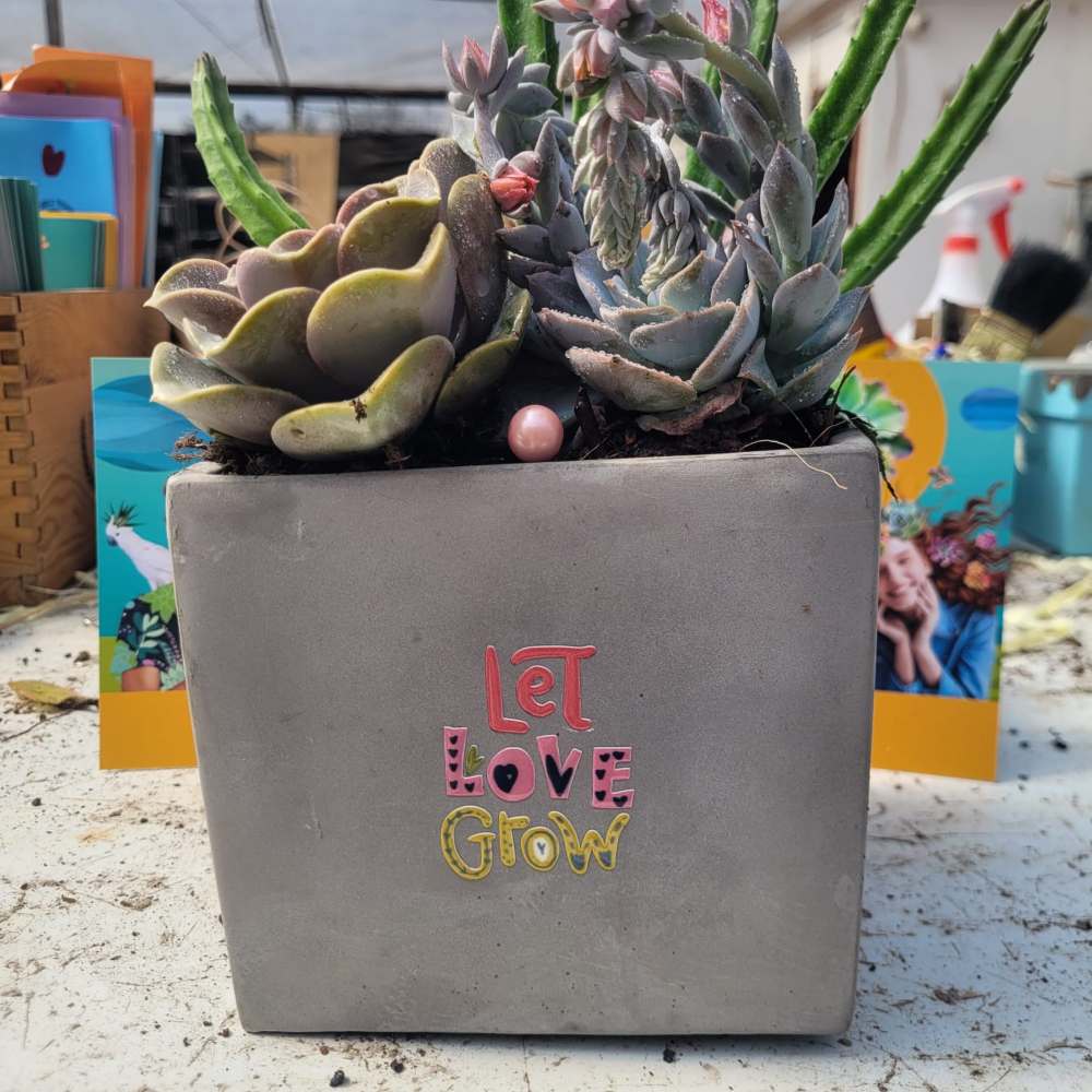 עציצים עם הקדשה - Image 10