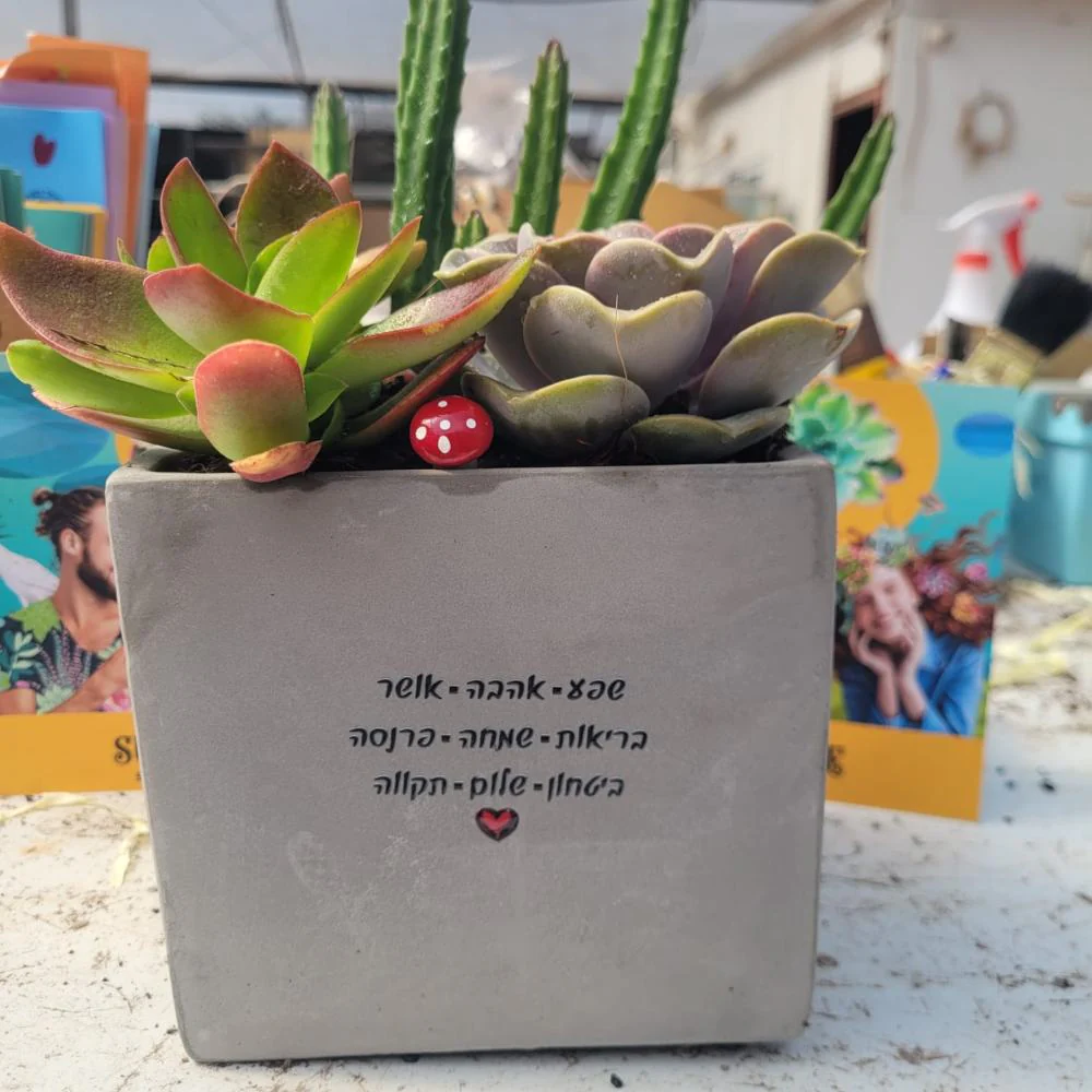 עציצים עם הקדשה - Image 11