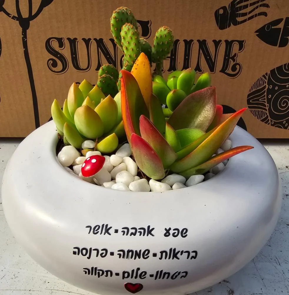 עציצים עם הקדשה - Image 12