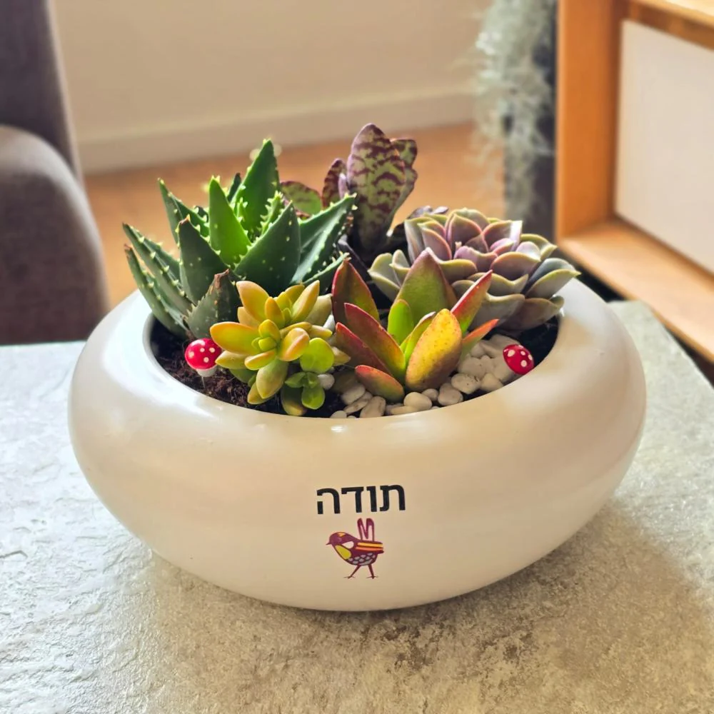 עציצים עם הקדשה - Image 14