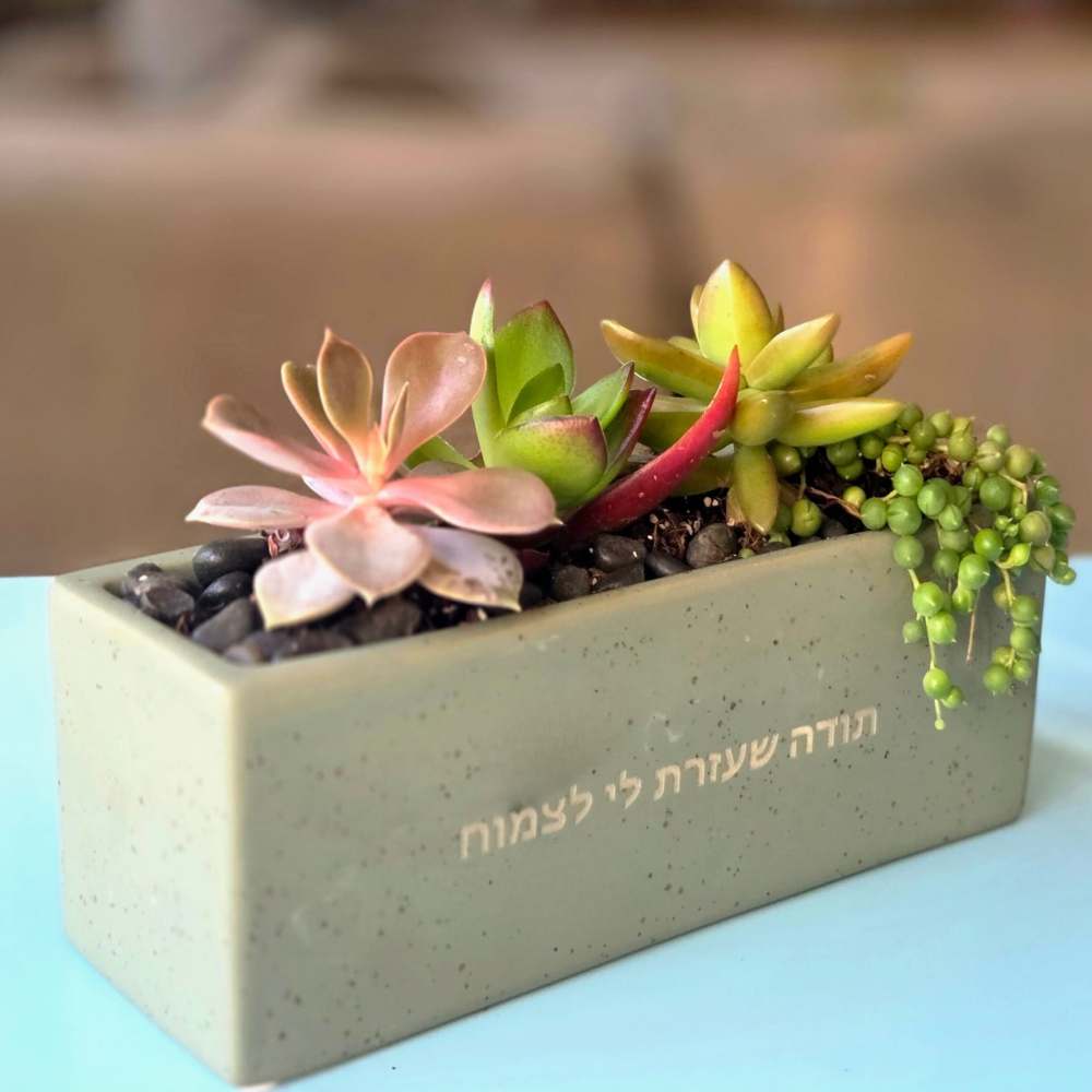 עציצים עם הקדשה - Image 18