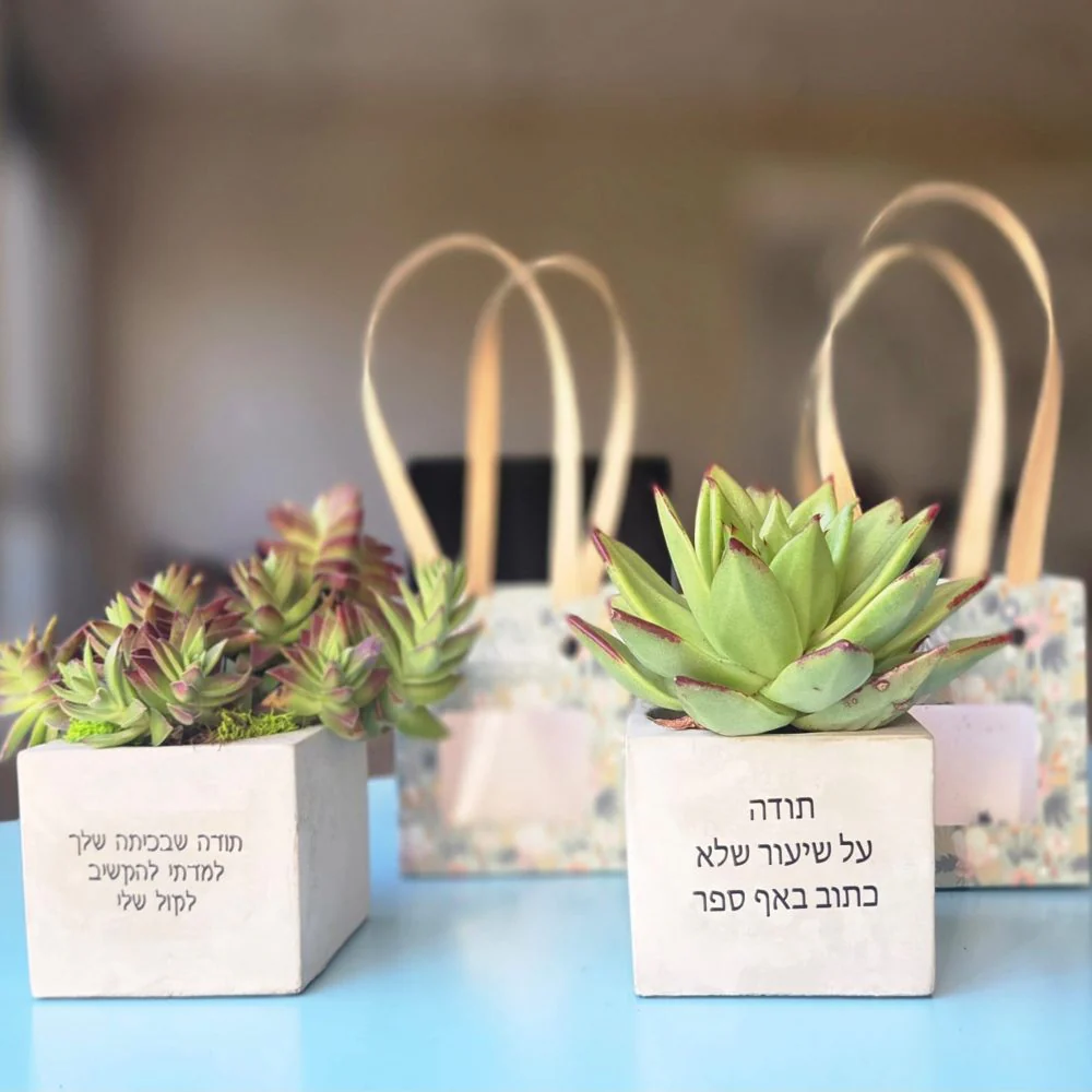 עציצים עם הקדשה - Image 19