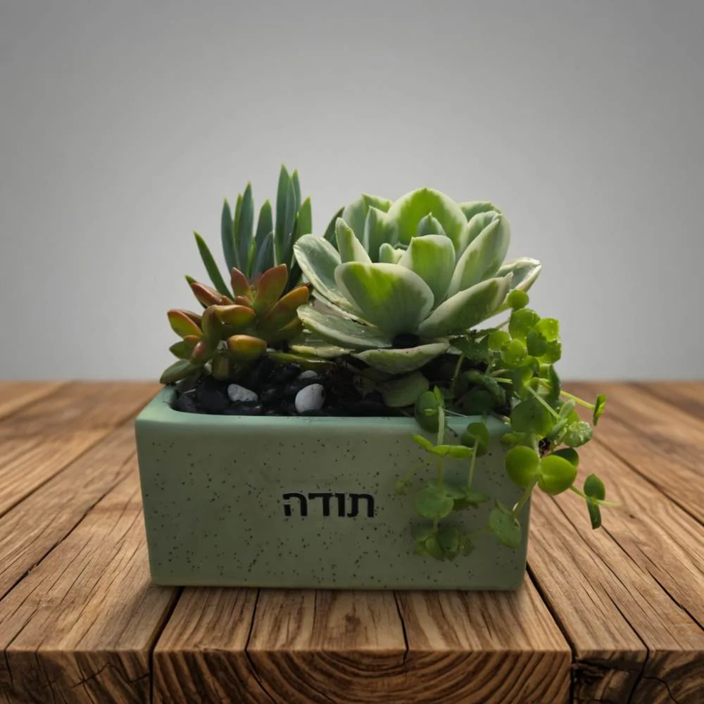 עציצים עם הקדשה - Image 21