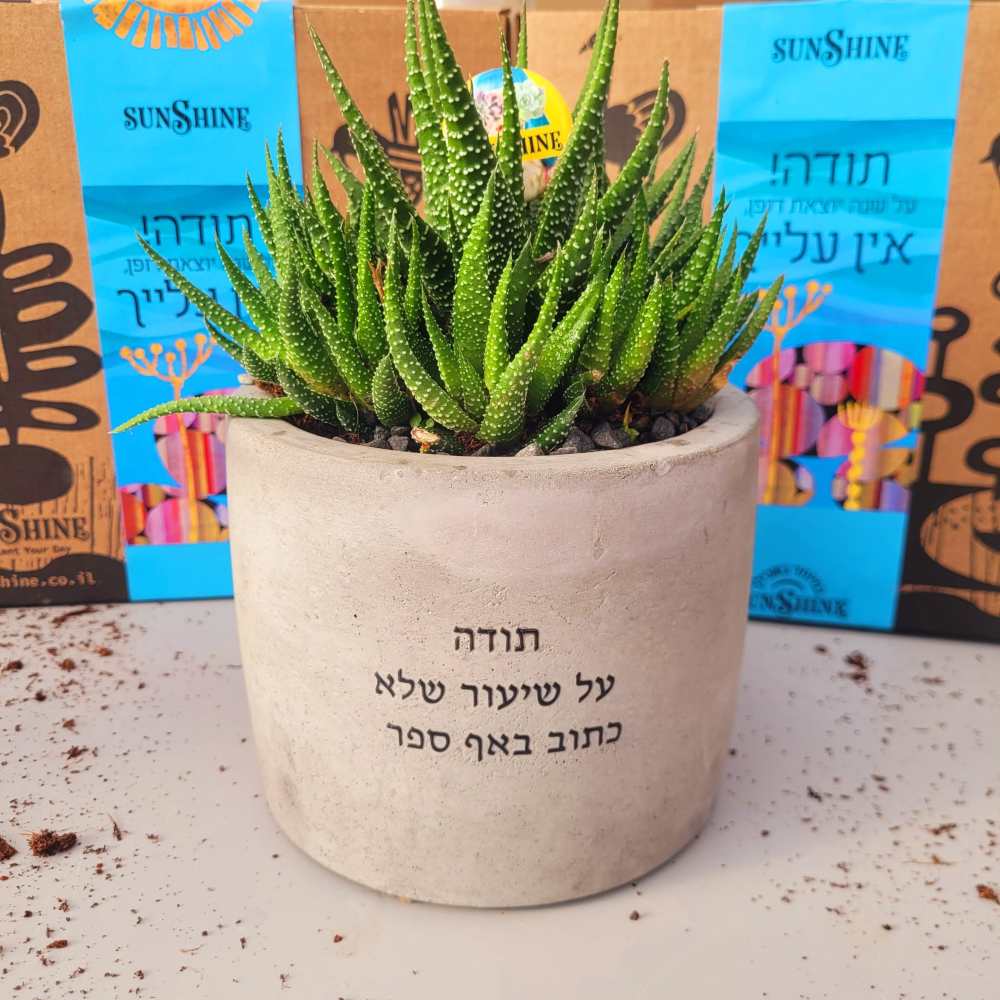 עציצים עם הקדשה - Image 4
