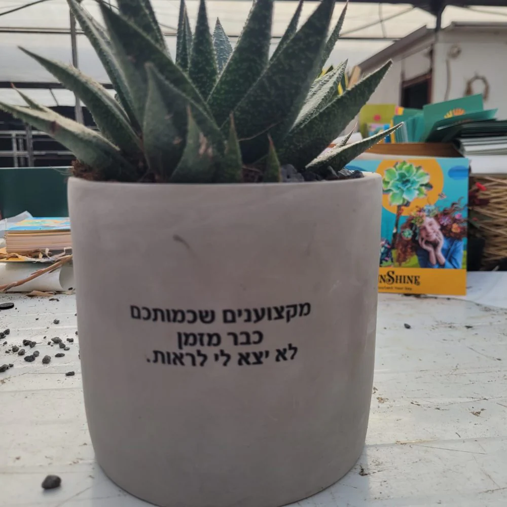 עציצים עם הקדשה - Image 9