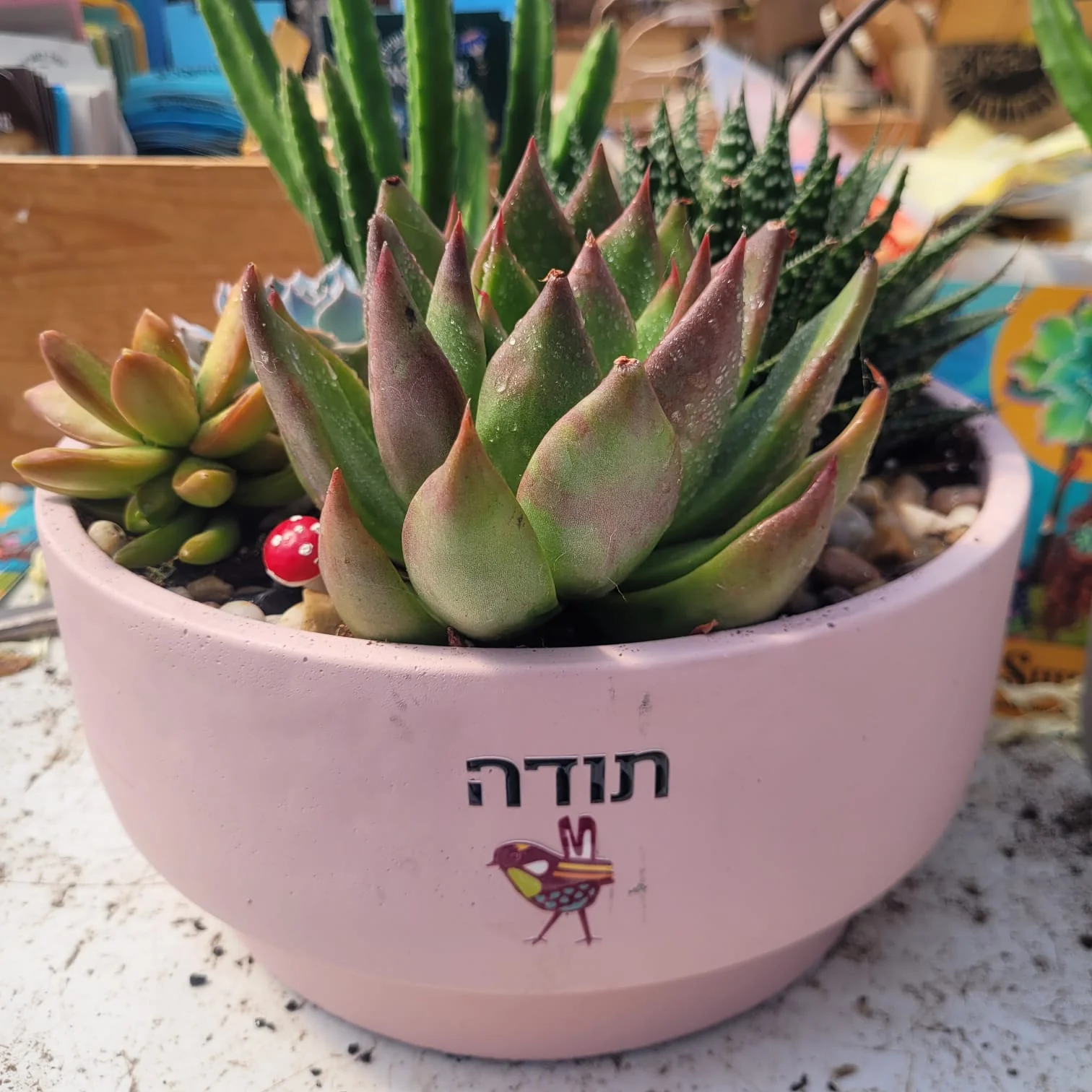 עציץ ממותג - UV - Image 18