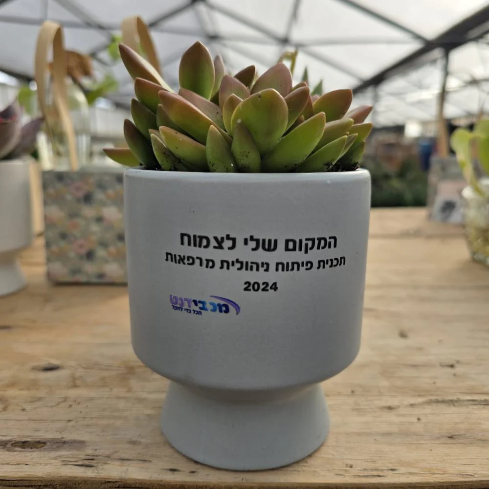 עציץ ממותג - UV דגם Modo - Image 3