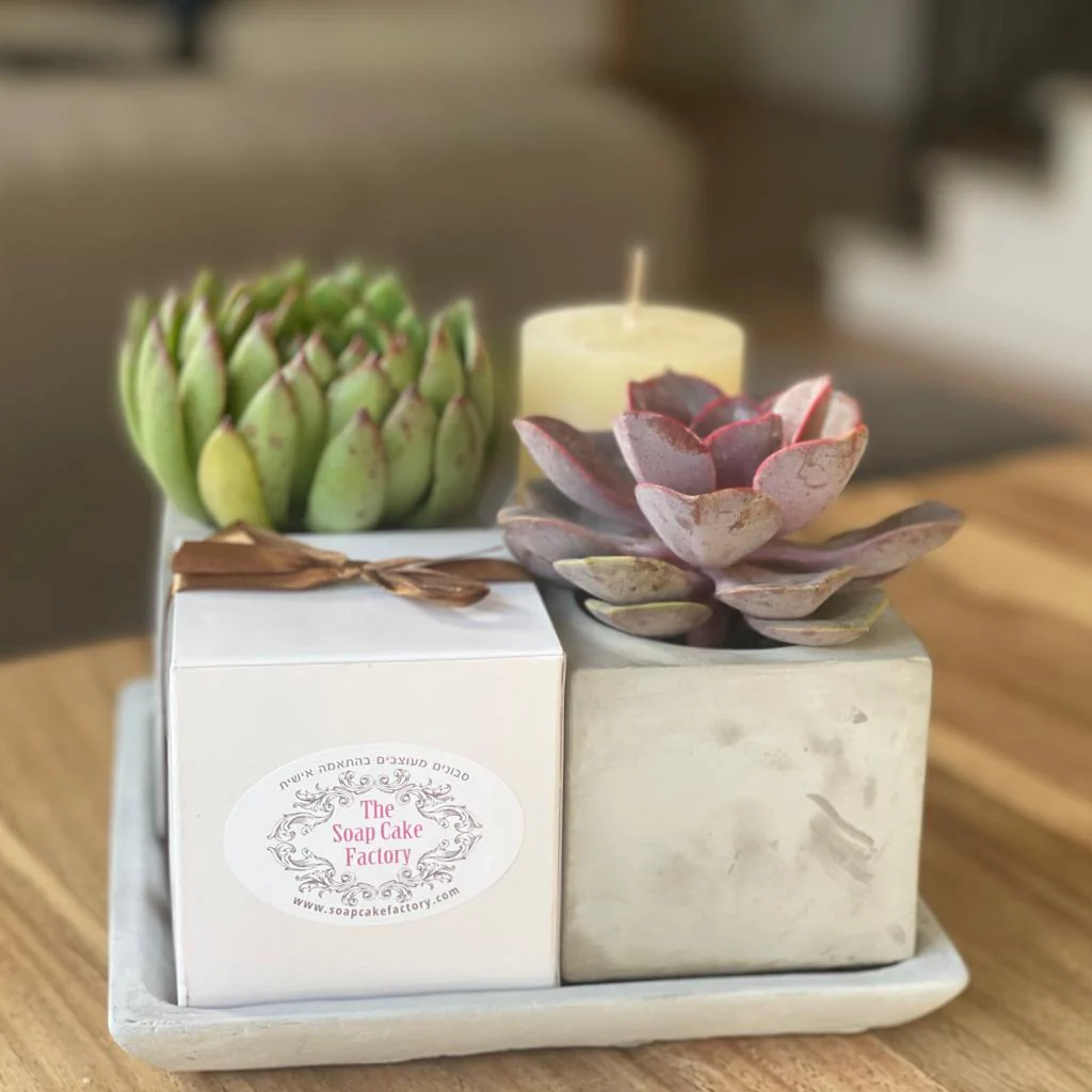 Gift Set -עגול הנמכרים ביותר - Image 9