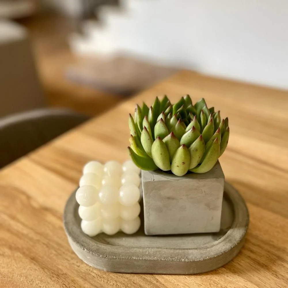 Gift Set -עגול הנמכרים ביותר - Image 3