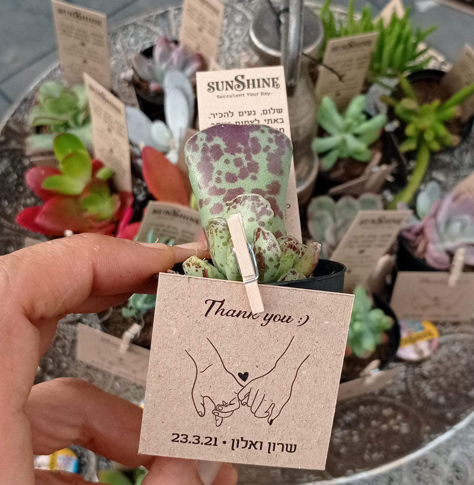 עיצוב כרטיסי ברכה - Image 8