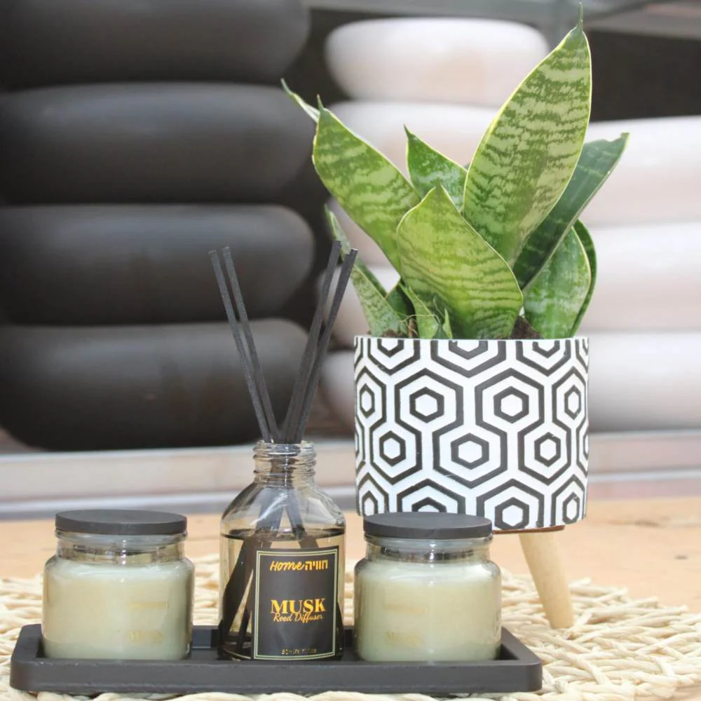 Relax & Green - Image 2