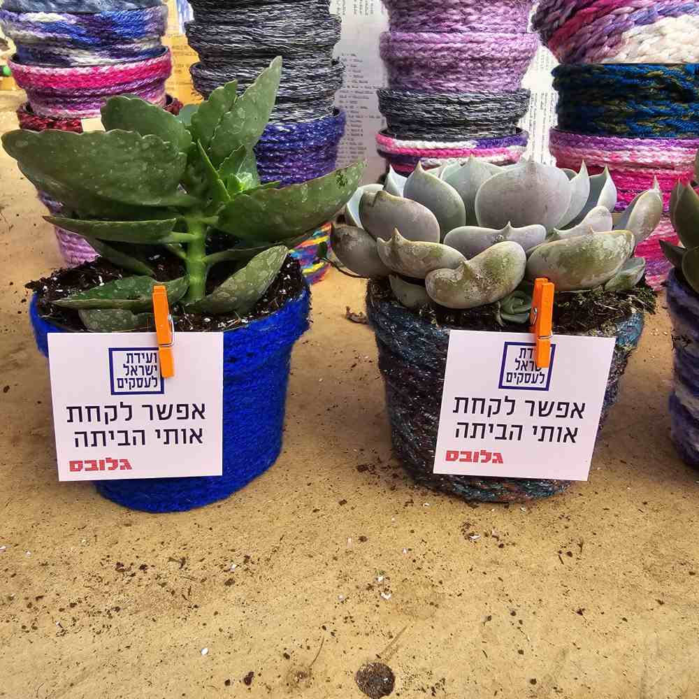 NET -אמנים מהגלריה - Image 3