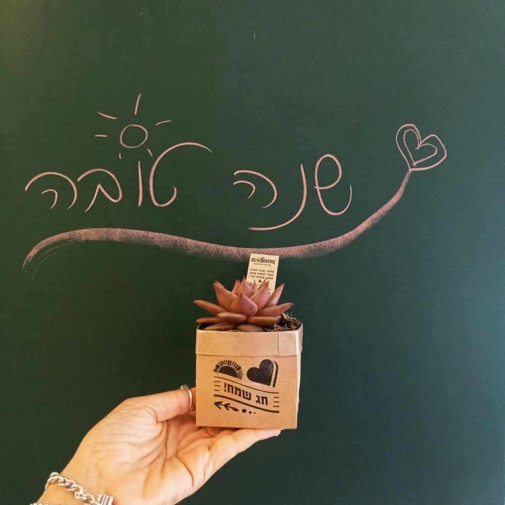 Succu Smile - חג שמח - Image 7