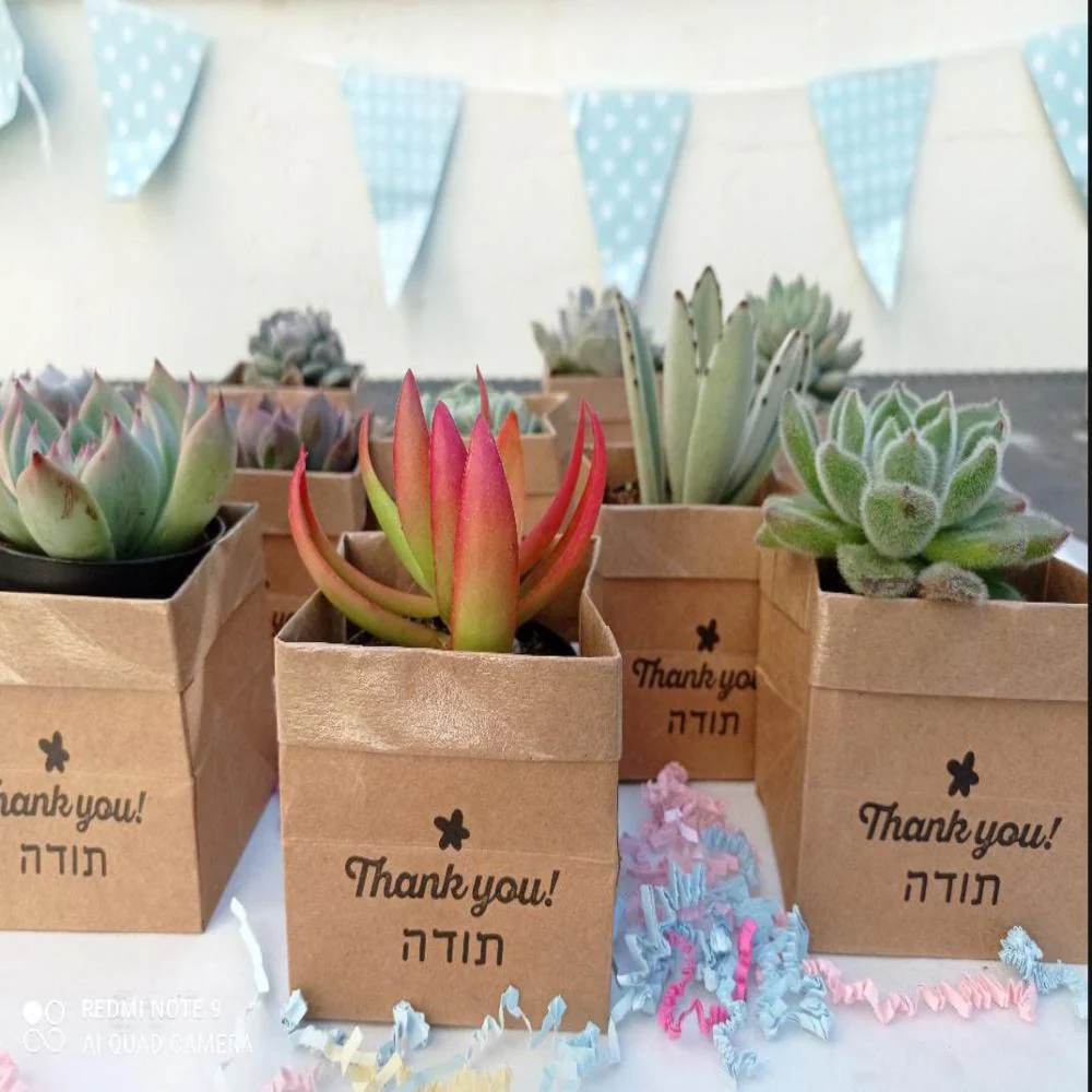 Succu Smile - תודה - Image 4