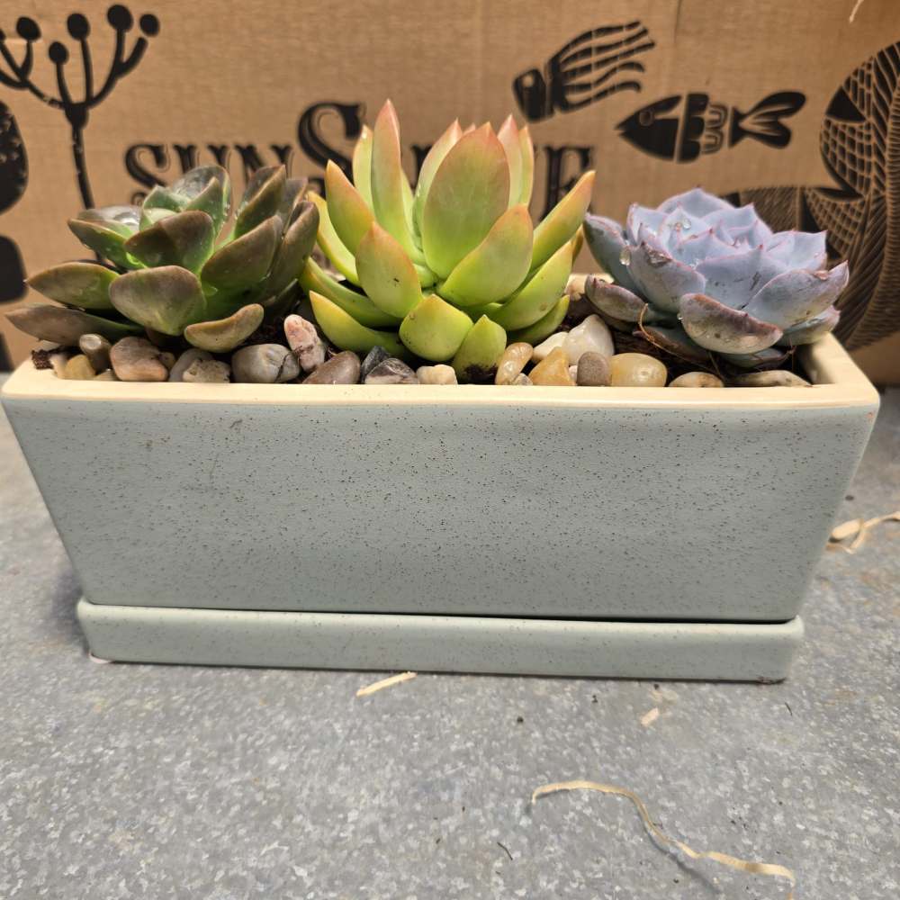 Urban planter - Image 2